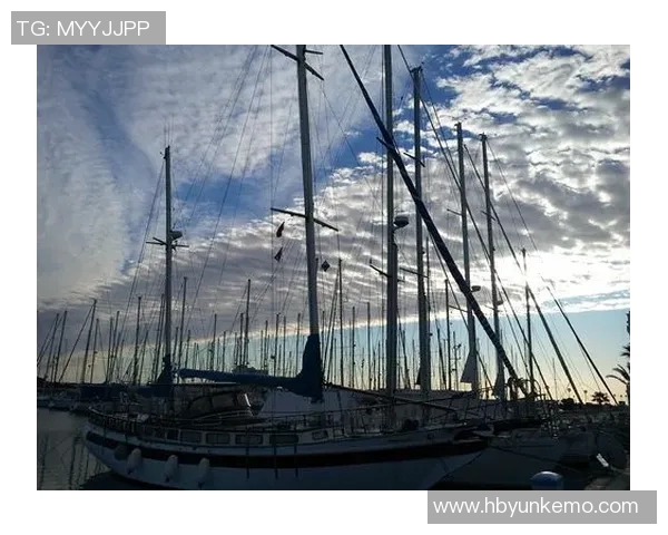 赞比亚与突尼斯激战正酣比分如何揭晓精彩瞬间回顾 赞比亚与突尼斯激战正酣比分如何揭晓精彩瞬间回顾