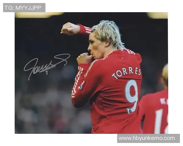 费尔南多托雷斯的传奇足球生涯与对世界足球的深远影响分析