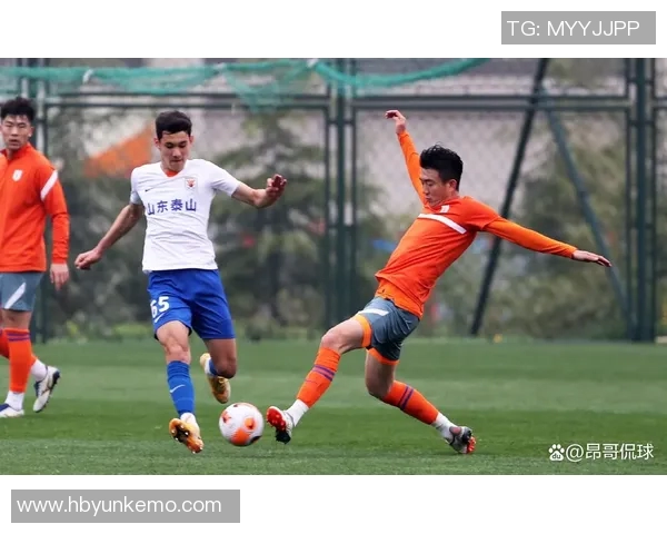 篮网与黄蜂激战305场赛季关键对决引发球迷热议 篮网与黄蜂激战305场赛季关键对决引发球迷热议