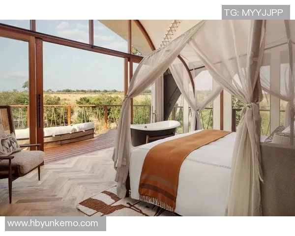 探索摩尔特里的魅力与历史深度揭示这座城市的独特文化与风土人情