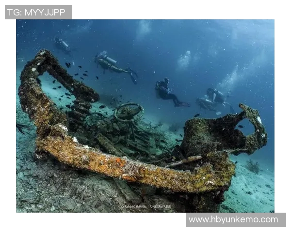 加莱诺的艺术魅力与文化影响力探讨：从历史到现代的多维视角