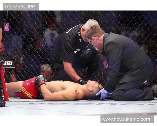 门德斯与埃德加的巅峰对决UFC赛场上的荣耀之战