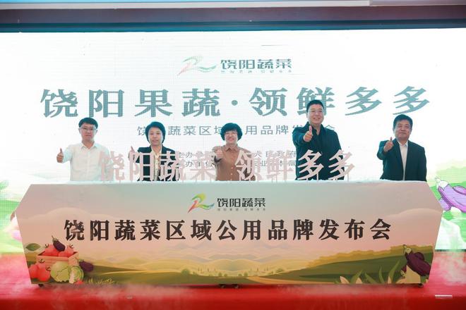 饶阳蔬菜区域公用品牌发布！提米乐m6官网质增效筑牢农业根基(图1)