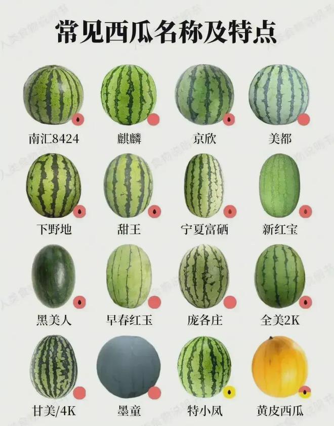 常见的西瓜名称及特点！(图1)