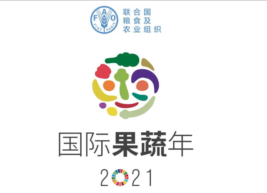 m6米乐下载“国际果蔬年”公益视频发布(图1)