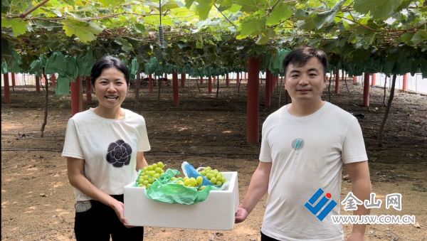 “瓜果飘香、稻浪滚滚、膏满蟹肥” 看江苏镇江一片m6米乐下载丰收好景象(图5)
