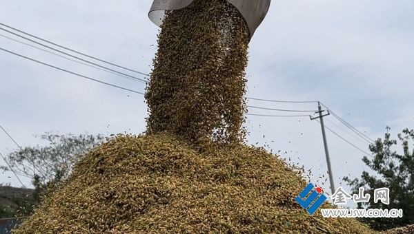 “瓜果飘香、稻浪滚滚、膏满蟹肥” 看江苏镇江一片m6米乐下载丰收好景象(图8)
