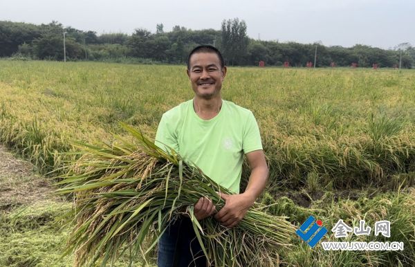 “瓜果飘香、稻浪滚滚、膏满蟹肥” 看江苏镇江一片m6米乐下载丰收好景象(图7)