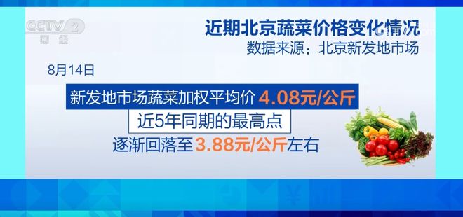 全国蔬菜价格涨幅收窄 9月以后菜价有望逐步回落m6米乐app(图3)