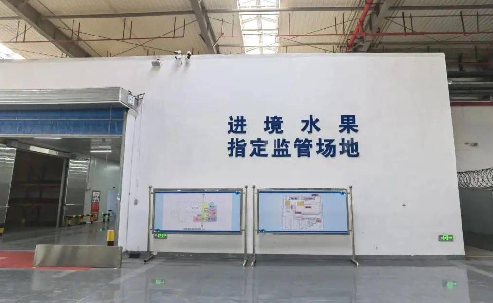 进境新鲜水果通关知识小课堂(图1)