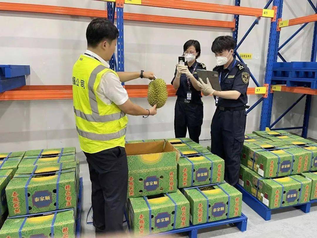 进境新鲜水果通关知识小课堂(图8)