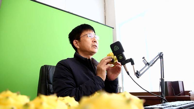 燕窝果试种成功 广饶县“南果北种”再添新宠m6米乐app(图3)