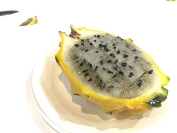 首次引入的“麒麟果”是什么味道？红酒为何从喷泉涌出？(图1)