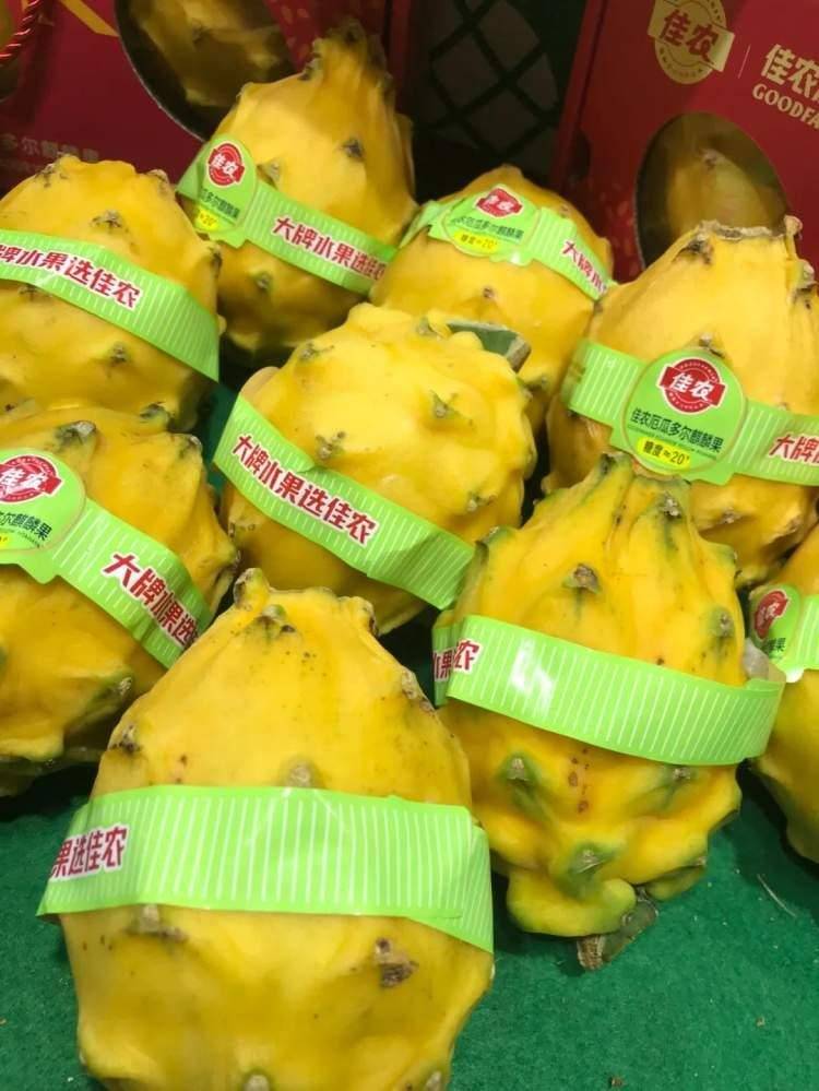 首次引入的“麒麟果”是什么味道？红酒为何从喷泉涌出？(图2)