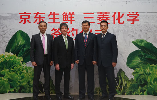 京东生鲜独家推水培蔬菜定义高端蔬菜品m6米乐下载质标准(图2)