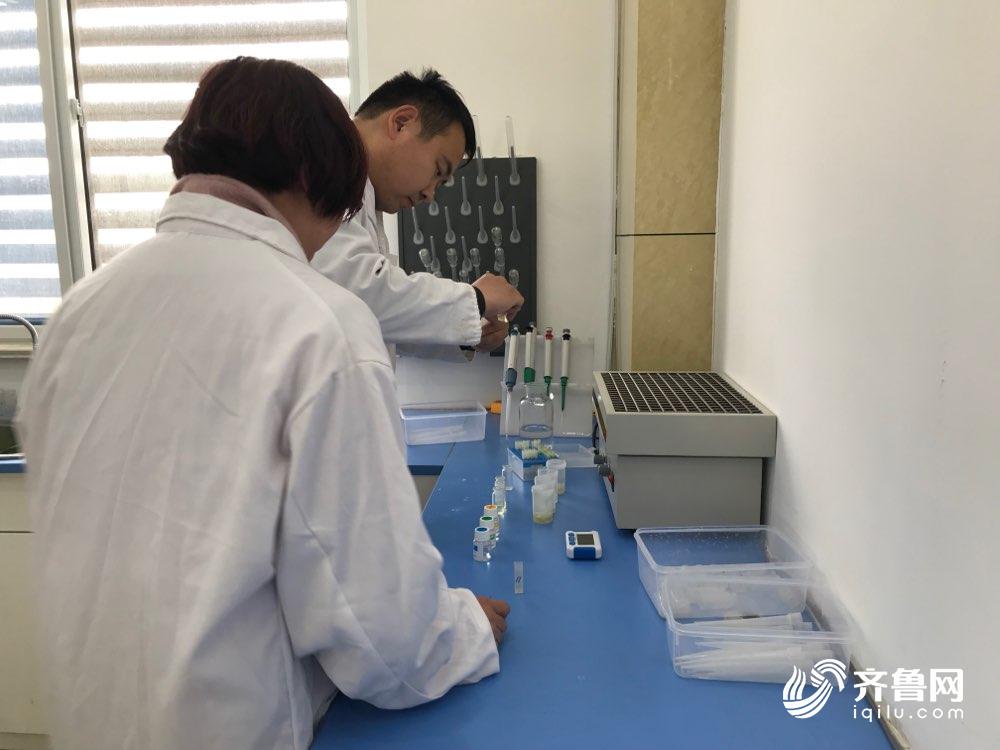 严苛标准倒逼质量提升 山东蔬菜出口日本增长翻倍(图2)