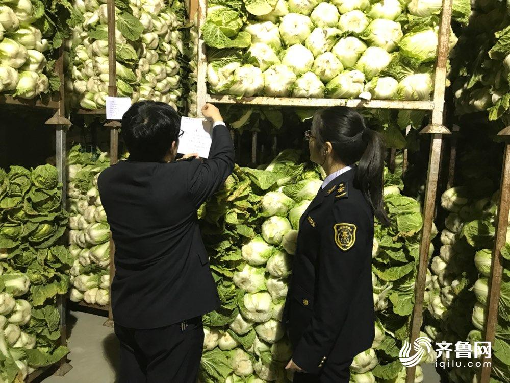 严苛标准倒逼质量提升 山东蔬菜出口日本增长翻倍(图5)