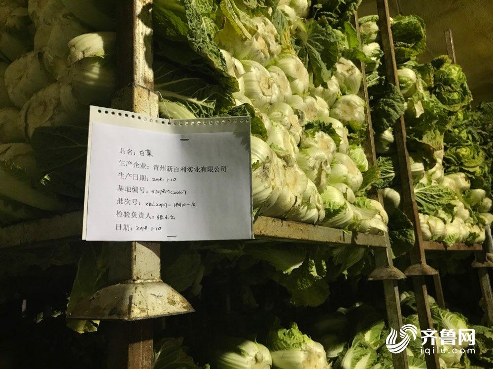 严苛标准倒逼质量提升 山东蔬菜出口日本增长翻倍(图4)