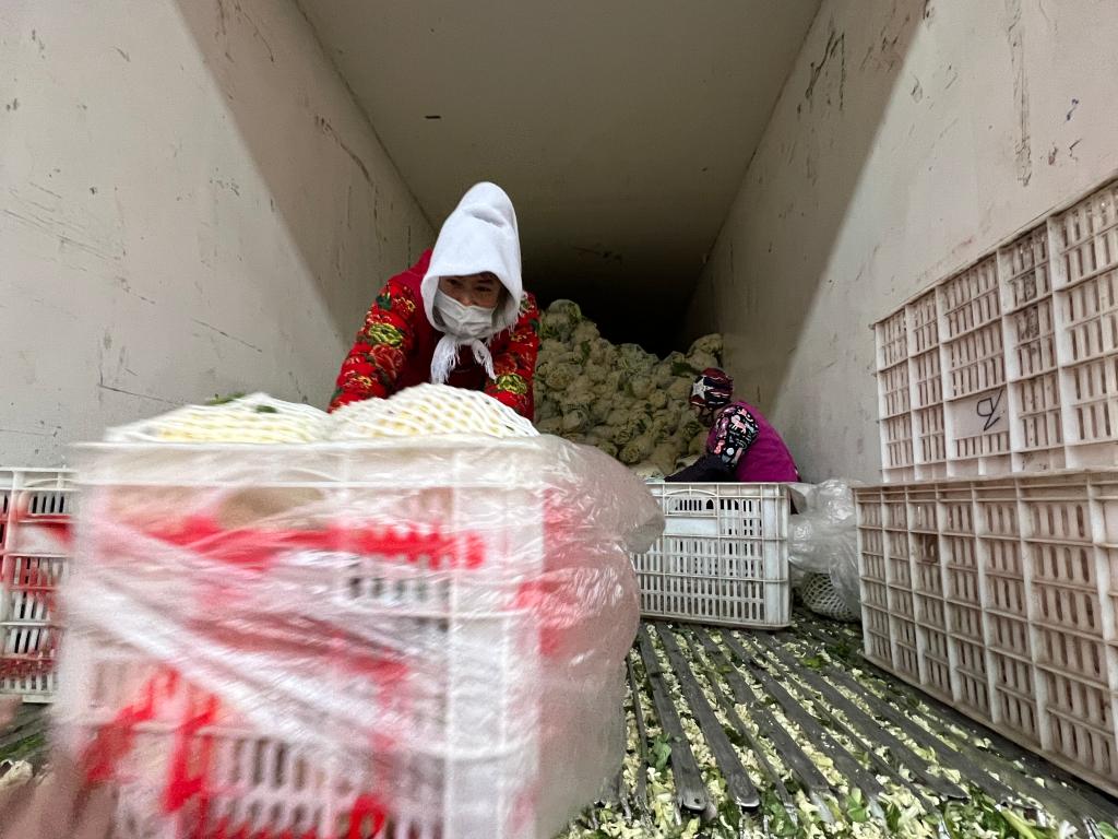 新春走基层丨中国蔬菜之乡：给菜农“减负” 让保供 “加分”(图3)