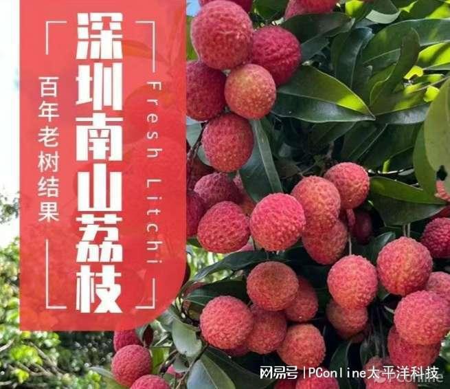购买荔枝的好时机拼多多百亿补贴帮你巨省钱！(图2)
