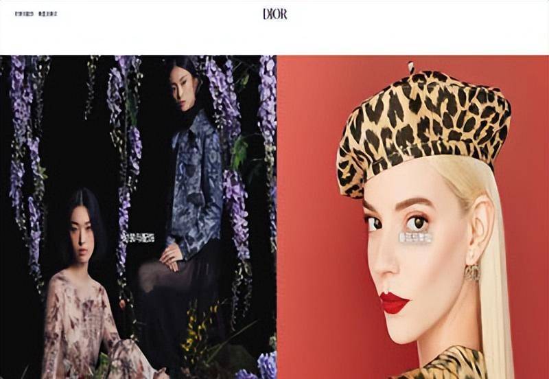 全球十大最有价值奢侈品牌(图6)