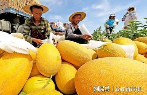 m6米乐网址康熙口误叫错一水果名误导国人400多年如今你的叫法也不对？(图5)
