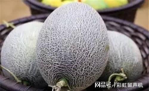 m6米乐网址康熙口误叫错一水果名误导国人400多年如今你的叫法也不对？(图1)