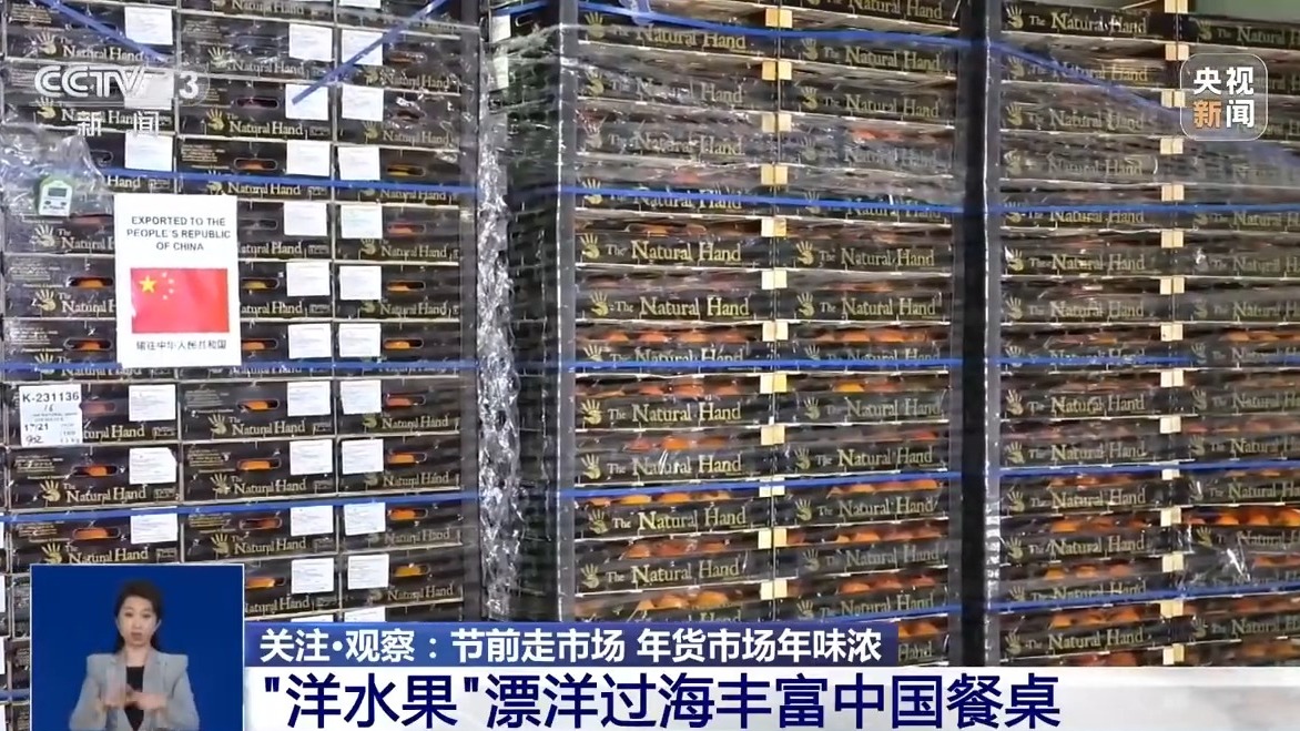 燕窝果、海参果、老虎果水果“新味道”哪款你最爱？(图4)