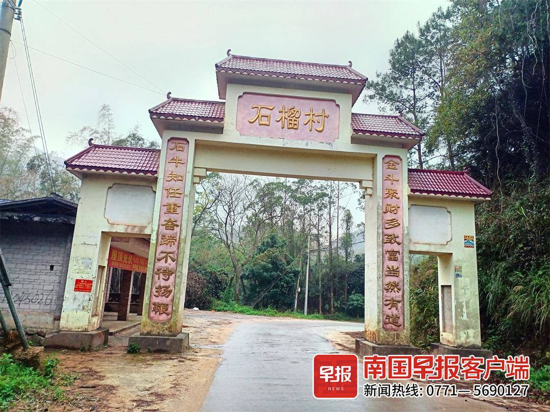 荔枝、龙眼……广西以水果命名的村你听说过几个？(图2)