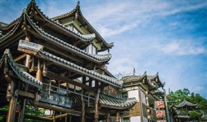 荔枝价格腰斩 这些水果都便宜了 水果市场投资前景分析及供需格局研究预测报告(图12)