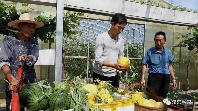 西瓜、蓝莓、黄桃、甜瓜安康采摘水果攻略！(图2)