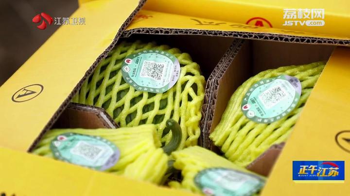 全聚焦│瓜果飘香 尽享丰收喜悦m6米乐网址(图1)