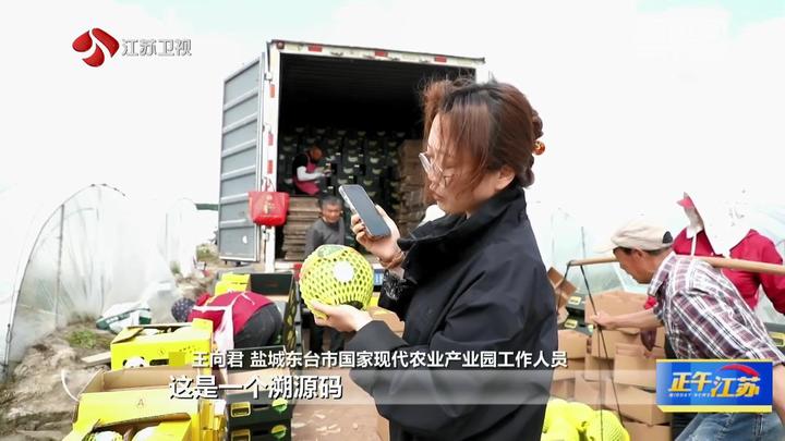 全聚焦│瓜果飘香 尽享丰收喜悦m6米乐网址(图2)