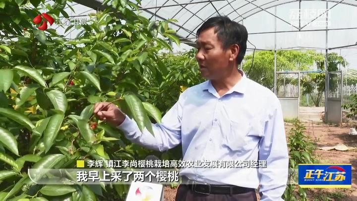 全聚焦│瓜果飘香 尽享丰收喜悦m6米乐网址(图4)