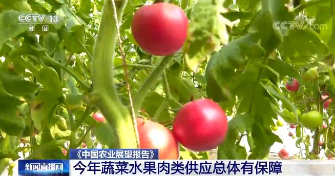 m6米乐下载今年我国蔬菜、水果、肉类供应总体有保障 消费持续增长(图1)