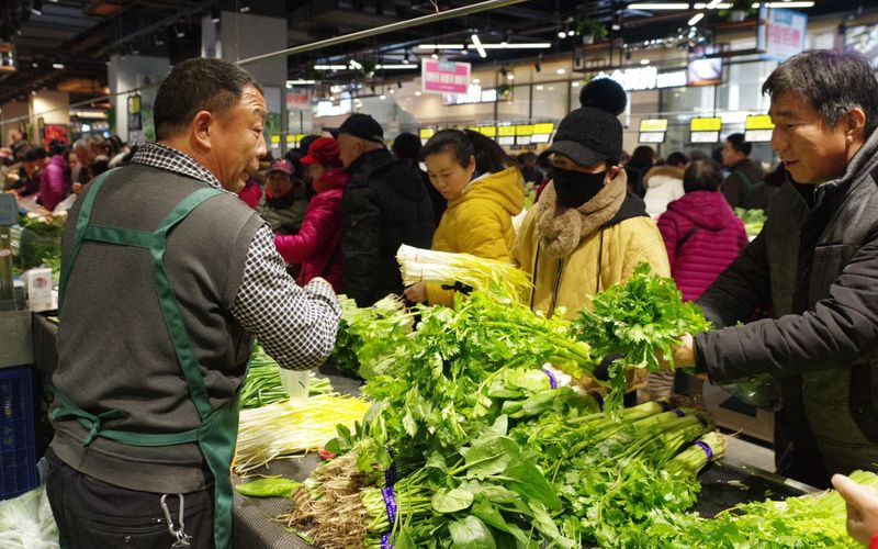 洋葱、土豆等冬储菜大量上市 后期北京菜价有望持稳(图1)