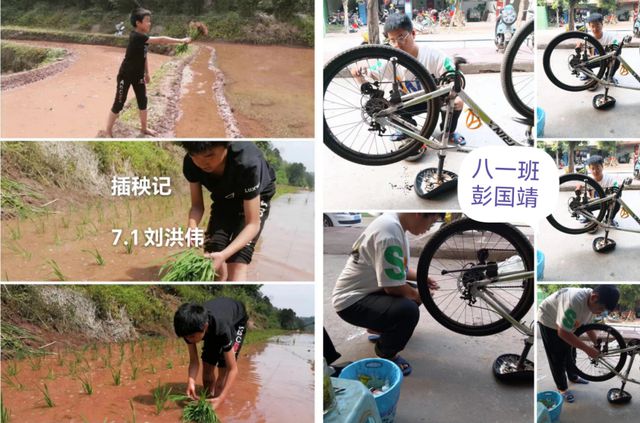 宜宾市叙州区南广学校“劳动实践周”作业展示(图5)