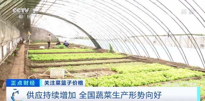 全国蔬菜生产形势向好 供应持续增加(图1)