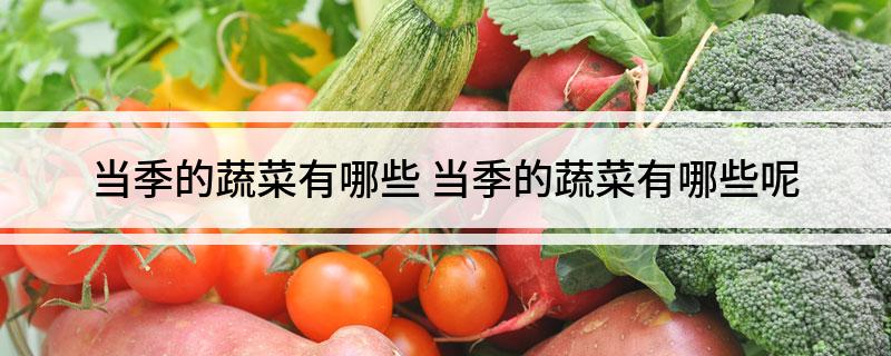 当季的蔬菜有哪些(图1)