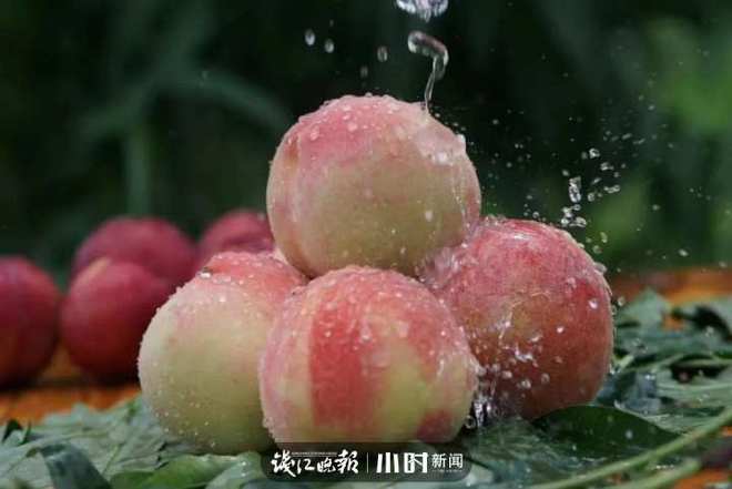收藏！临安最全水果采摘攻略来了解锁今夏甜蜜(图3)