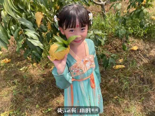 收藏！临安最全水果采摘攻略来了解锁今夏甜蜜(图8)