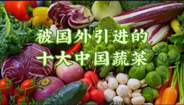 历史上原产于我国并被其他国家引进的十大蔬菜(图1)