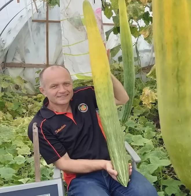20种大自然的奇迹史上最大水果和蔬菜果蔬界的“巨人”(图12)