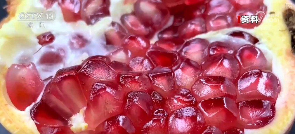 “面食+水果”解锁美食消费新方式 “甜蜜之路”上新“丰”景处处可见(图10)