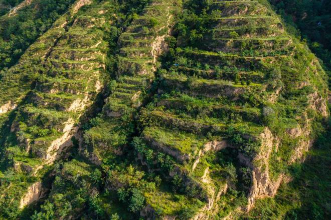 甘肃天水不仅有麻辣烫漫山遍野种植的苹果和蜜桃也堪称一绝(图6)