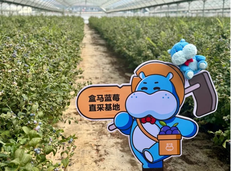 m6米乐官网月薪几万才能水果自由？(图2)