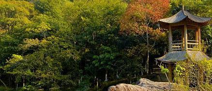 河源十大最美m6米乐app景点(图3)