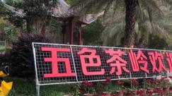 河源十大最美m6米乐app景点(图8)
