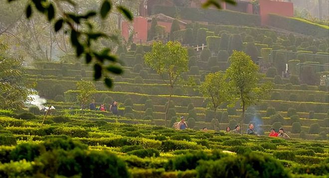 寒衣节要来了！提醒每个人上坟一定要注意这四点不能早也不能晚(图14)