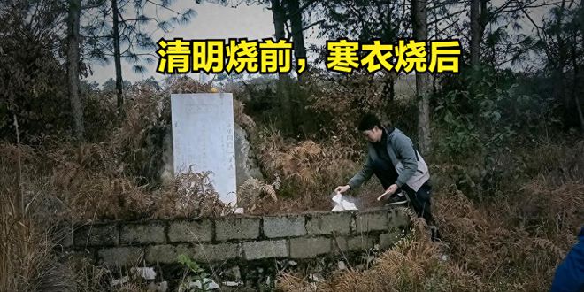 寒衣节要来了！提醒每个人上坟一定要注意这四点不能早也不能晚(图16)